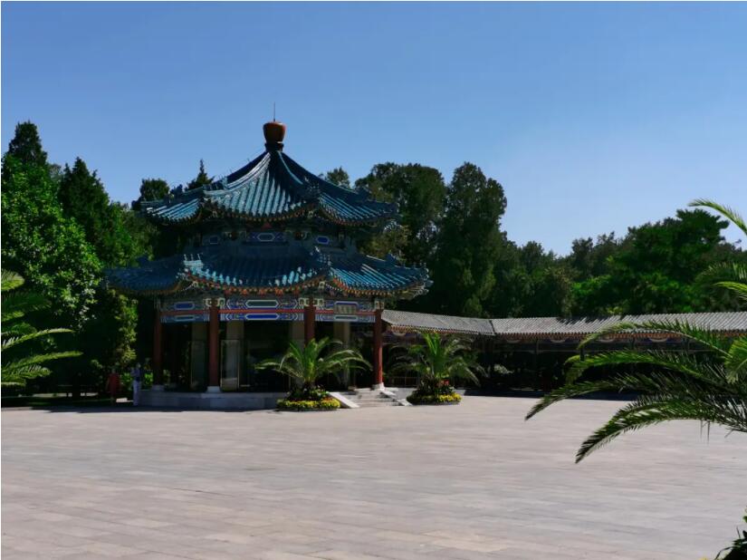 北京推出222個公園賞花片區