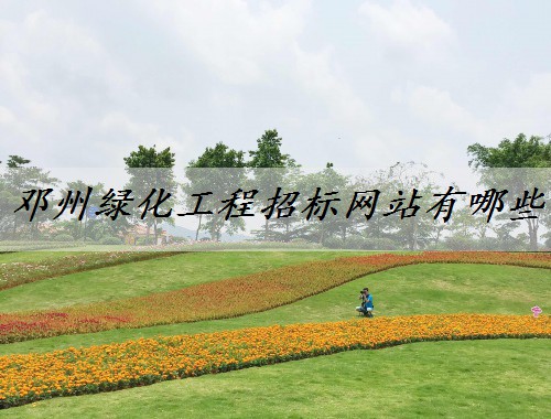 鄧州綠化工程招標網站有哪些