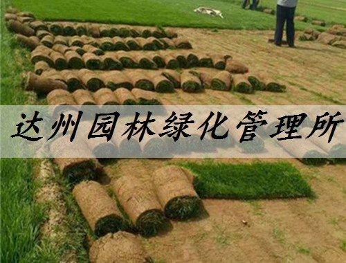 達州園林綠化管理所