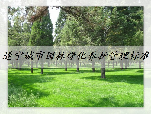 遂寧城市園林綠化養護管理標準