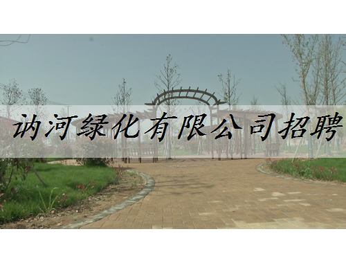 訥河綠化有限公司招聘