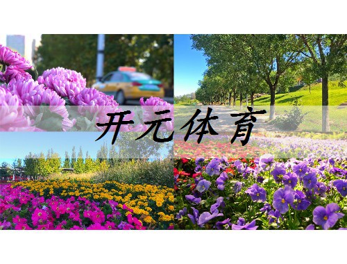資陽政綠化招工信息