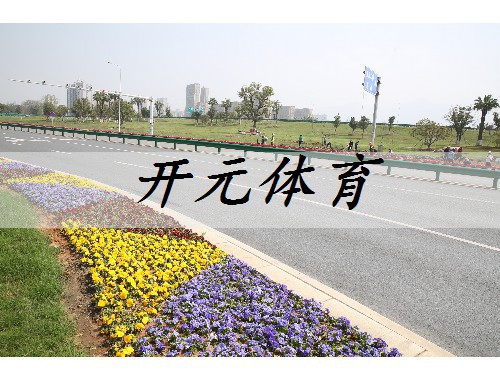辛集市政道路綠化樹苗種類大全
