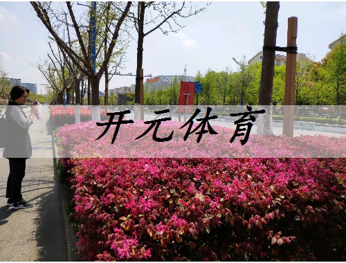 揚中綠化苗木市場分析