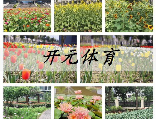 雄安新區綠化工程隊長