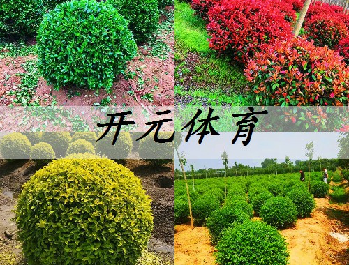 通用綠化工程維修電話
