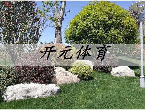 通化市城市綠化的缺點有