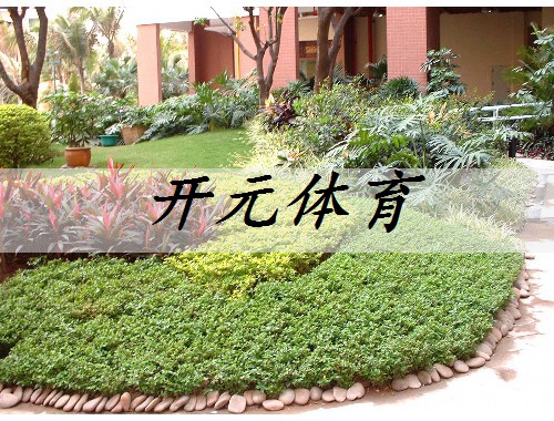 銅陵城區綠化工程