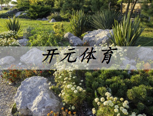 蘇州正規綠化工程行業