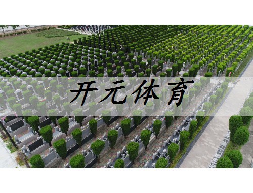 益陽市政綠化樹木品種有哪些