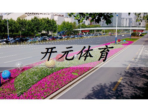 界首綠化樹苗批發市場在哪兒