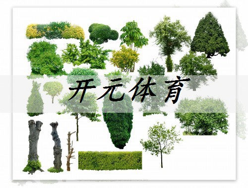 界首市政工程綠化資質