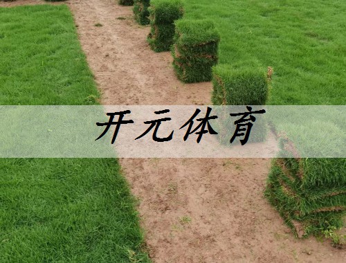 焦作綠化工程招標網公告公示