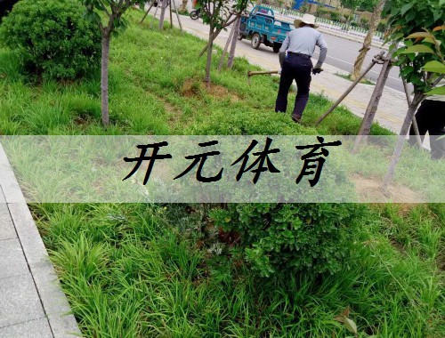 深圳市綠色陽光園林綠化工程