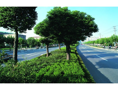 洛陽市園林綠化公司
