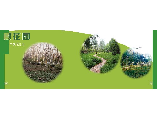 濟源綠化有限公司袁美華
