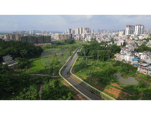 泰順城市綠化項目公示