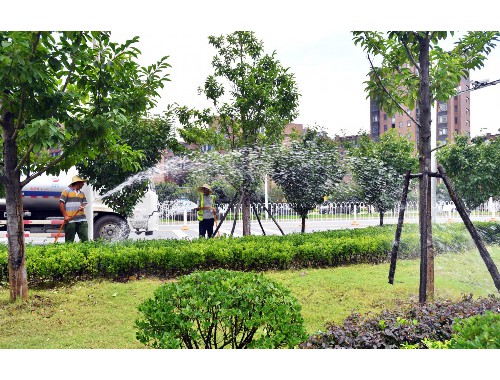瀘州市政綠化樹木品種有哪些