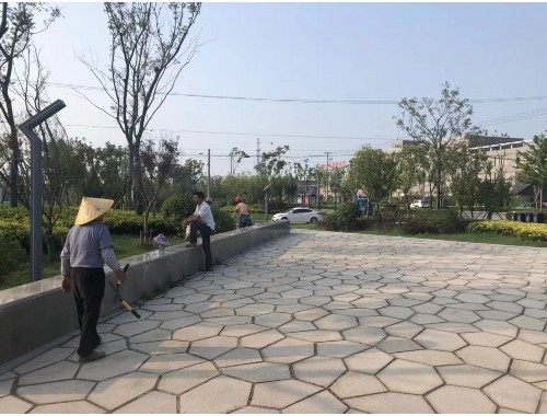 安國園林綠化處入圍名單