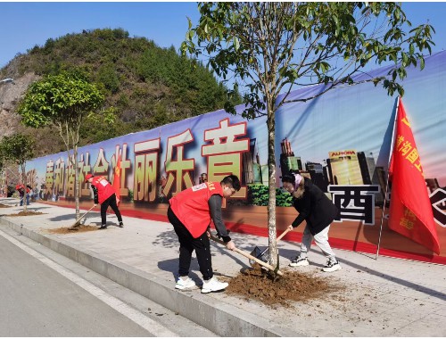 河西做市政綠化要哪些資質呢
