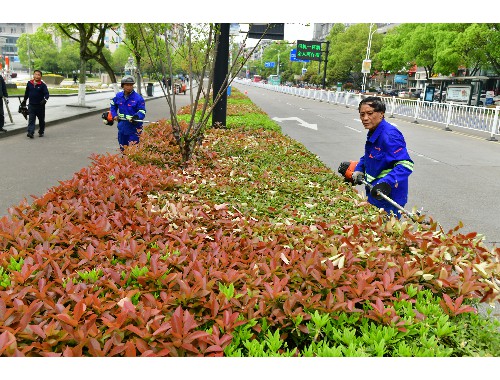泰安芳順綠化工程有限公司