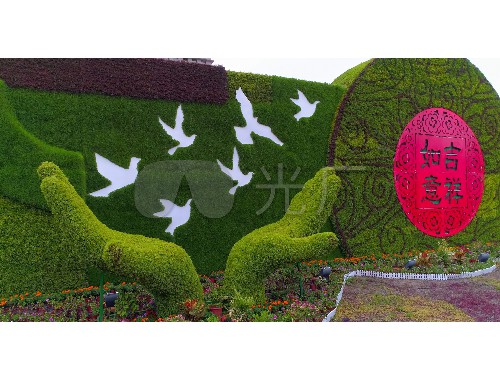 滄州綠化苗木批發市場在哪