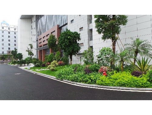 沁陽市政綠化屬于什么行業類型