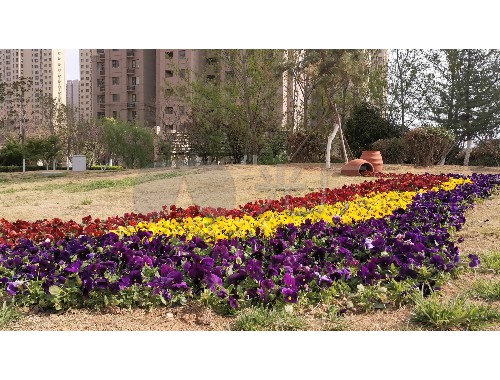 沈陽西安綠化工程公司