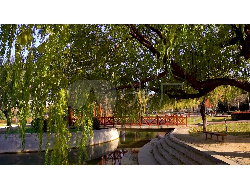 沅江園林綠化處招聘