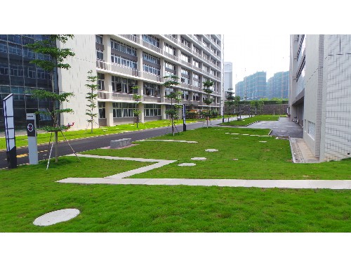 汨羅市政綠化樹木品種分類