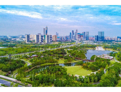 池州園林綠化處陳江波