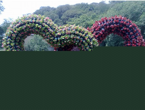 五月份綠化工程可以栽樹嘛