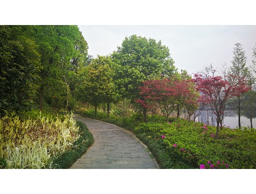 沁陽園林綠化有限公司徐航