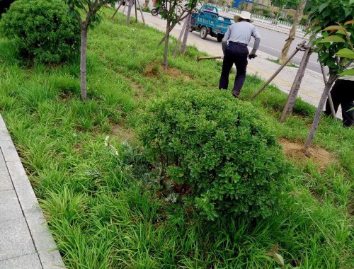 永州市園林綠化公司