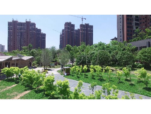新密市政綠化工程是什么專業