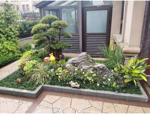 武漢全國最大綠化樹苗批發市場在哪里