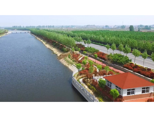 建陽綠化公司沈海岑