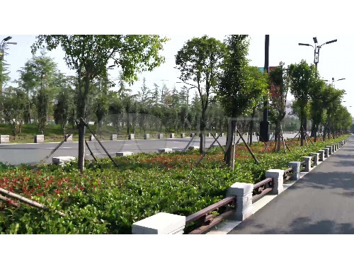 松原市政綠化工資高嗎
