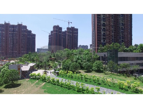 松滋園林綠化有限公司總經理
