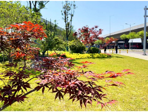 松江區景觀綠化工程