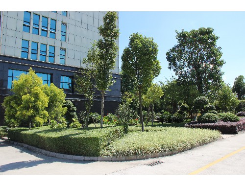 三門峽附近哪里有綠化草坪賣的