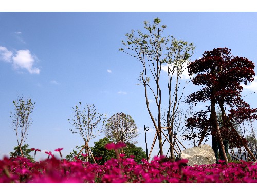 無錫城市綠化處