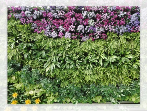 雙城城市綠化是什么單位