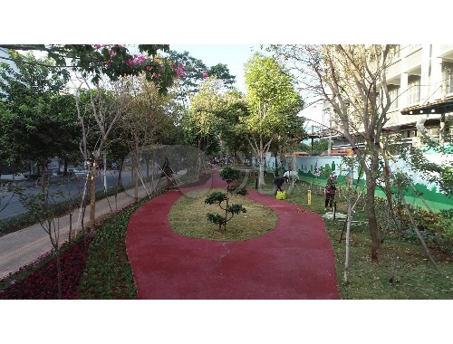 麗水園林綠化管理局