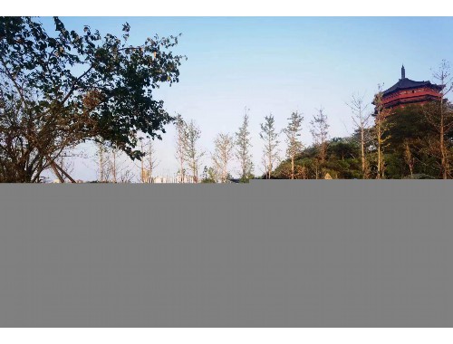 四川園林綠化工程通用表格