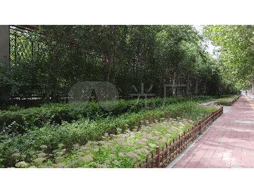 廣安園林綠化工程公司排名前十