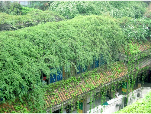 仙桃做市政綠化要哪些資質呢