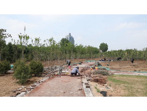 富錦城市綠化工程包括哪些項目和內容
