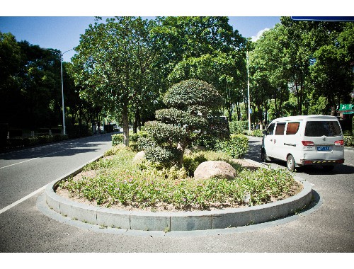 開遠市政綠化屬于什么行業分類